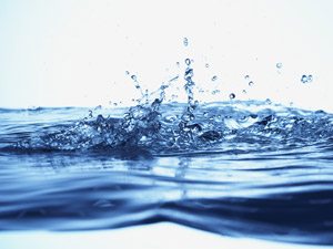 山河の育む本来の水